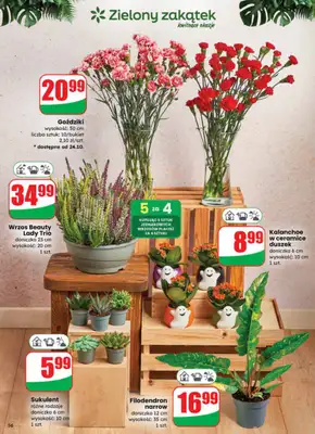 Dino - gazetka promocyjna Gazetka od środy 22.10 do wtorku 28.10 - strona 56 Dino - gazetka promocyjna Gazetka od środy 22.10 do wtorku 28.10 - strona 56