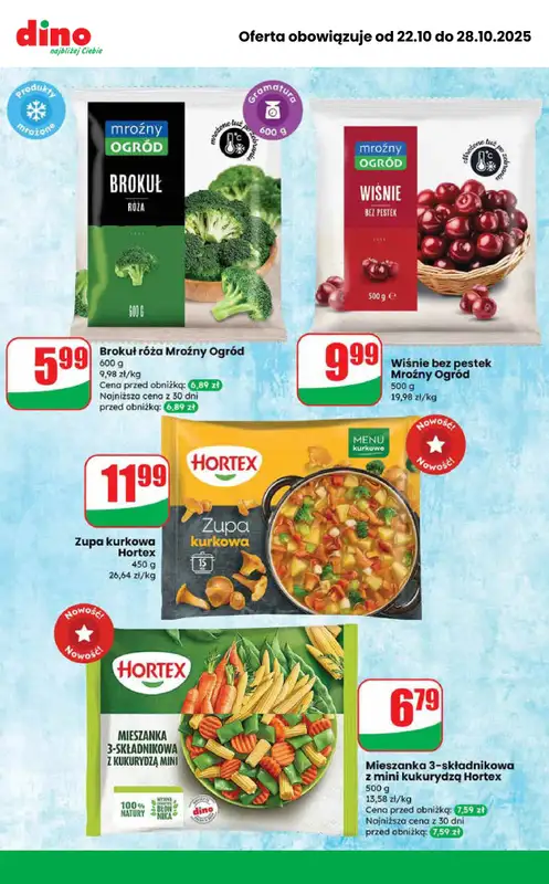 Dino - gazetka promocyjna Najlepsze promocje! od środy 22.10 do wtorku 28.10 - strona 9