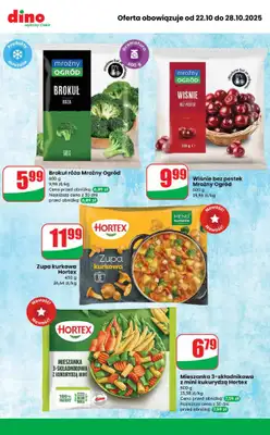Dino - gazetka promocyjna Najlepsze promocje! od środy 22.10 do wtorku 28.10 - strona 9 Dino - gazetka promocyjna Najlepsze promocje! od środy 22.10 do wtorku 28.10 - strona 9