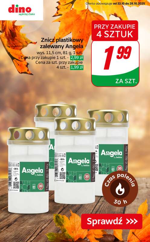 Dino - gazetka promocyjna Oferty na znicze i wk艂ady od czwartku 23.10 do wtorku 28.10 - strona 9 Dino - gazetka promocyjna Oferty na znicze i wk艂ady od czwartku 23.10 do wtorku 28.10 - strona 9