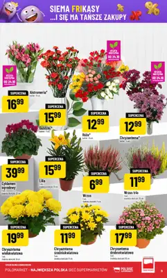 POLOmarket - gazetka promocyjna Gazetka od środy 22.10 do wtorku 28.10 - strona 9 POLOmarket - gazetka promocyjna Gazetka od środy 22.10 do wtorku 28.10 - strona 9