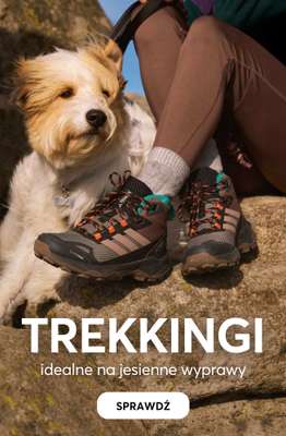 eobuwie.pl - gazetka promocyjna Buty trekkingowe na jesienny szlak od środy 22.10 