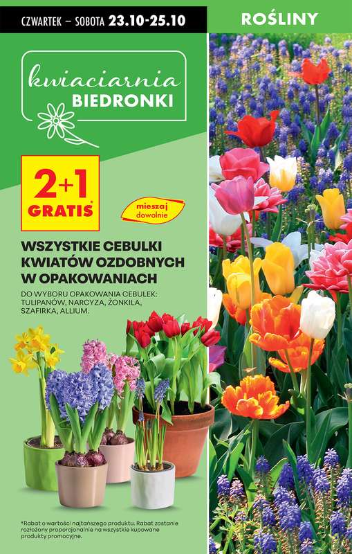 Biedronka - gazetka promocyjna Od czwartku, Z ladą tradycyjną od czwartku 23.10 do środy 29.10 - strona 19