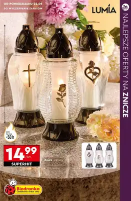 #ZNICZE - gazetka promocyjna Najlepsze oferty na ZNICZE, WKŁADY i KWIATY od soboty 18.10 do piątku 24.10 - strona 8
