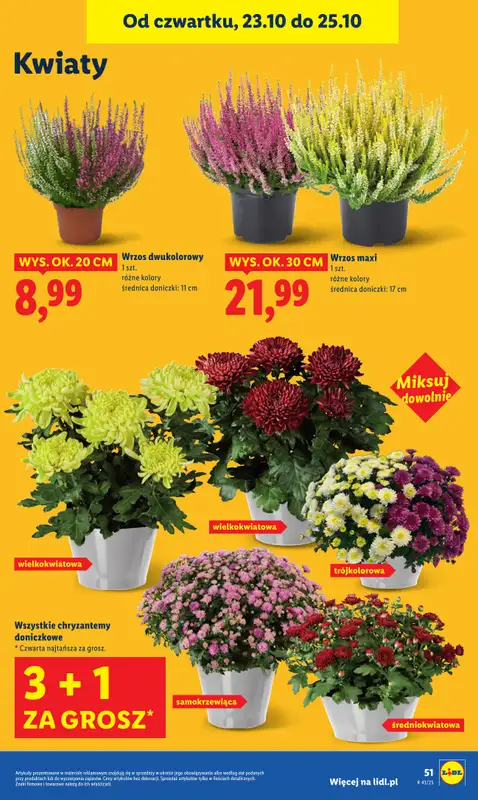 Lidl - gazetka promocyjna Oferta od czwartku od czwartku 23.10 do soboty 25.10 - strona 59