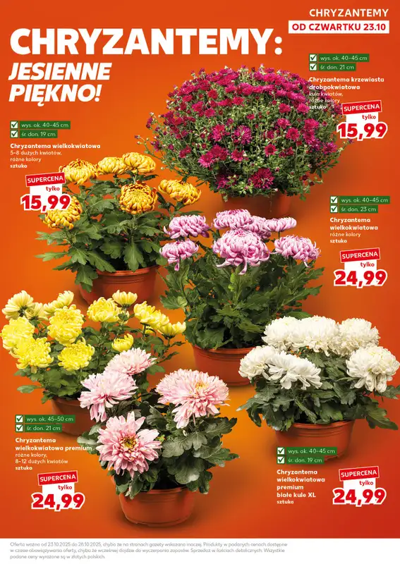 Kaufland - gazetka promocyjna Oferta Kaufland - SUPER SOBOTA od soboty 25.10 do soboty 25.10 - strona 9