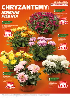 Kaufland - gazetka promocyjna Oferta Kaufland - SUPER SOBOTA od soboty 25.10 do soboty 25.10 - strona 9 Kaufland - gazetka promocyjna Oferta Kaufland - SUPER SOBOTA od soboty 25.10 do soboty 25.10 - strona 9