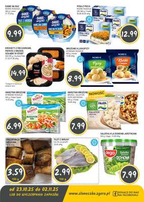 Mrożone Kluski/Pyzy Wybrane Rodzaje