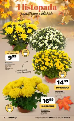 Netto - gazetka promocyjna Gazetka Spożywcza od poniedziałku 27.10 do piątku 31.10 - strona 6 Netto - gazetka promocyjna Gazetka Spożywcza od poniedziałku 27.10 do piątku 31.10 - strona 6