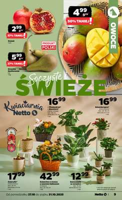 Netto - gazetka promocyjna Gazetka Spożywcza od poniedziałku 27.10 do piątku 31.10 - strona 9