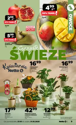 Netto - gazetka promocyjna Gazetka Spożywcza od poniedziałku 27.10 do piątku 31.10 - strona 9 Netto - gazetka promocyjna Gazetka Spożywcza od poniedziałku 27.10 do piątku 31.10 - strona 9