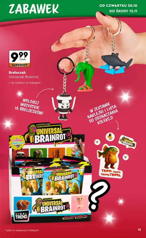 Biedronka - gazetka promocyjna Okazje tygodnia od 27.10 od poniedziałku 27.10 do środy 12.11 - strona 13