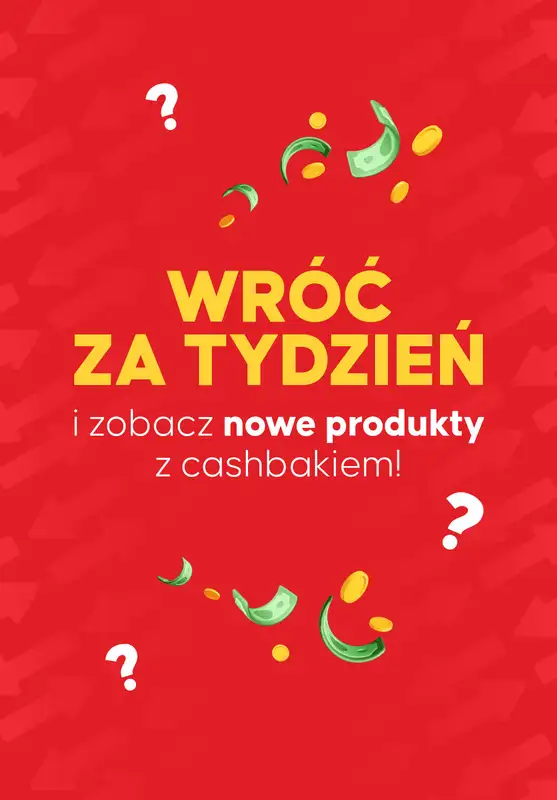 Kasa wraca - gazetka promocyjna Kupuj produkty i odbieraj zwroty od poniedziałku 27.10 do niedzieli 02.11 - strona 14