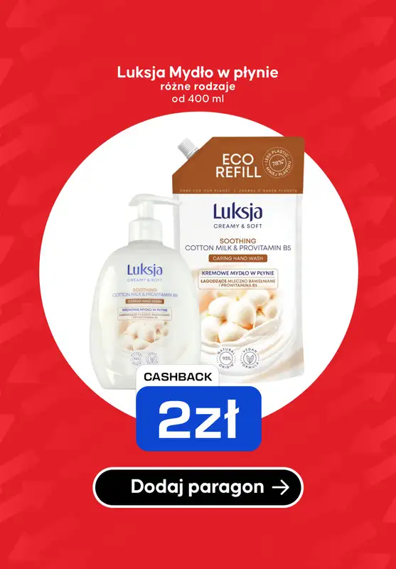Kasa wraca - gazetka promocyjna Kupuj produkty i odbieraj zwroty od poniedziałku 27.10 do niedzieli 02.11 - strona 13