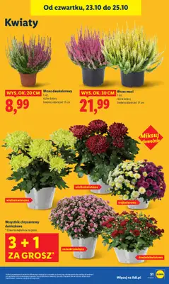 Lidl - gazetka promocyjna Oferta od czwartku od czwartku 23.10 do soboty 25.10 - strona 59 Lidl - gazetka promocyjna Oferta od czwartku od czwartku 23.10 do soboty 25.10 - strona 59