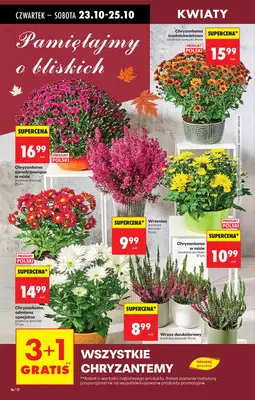 Biedronka - gazetka promocyjna Od czwartku od czwartku 23.10 do środy 29.10 - strona 20 Biedronka - gazetka promocyjna Od czwartku od czwartku 23.10 do środy 29.10 - strona 20