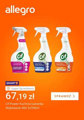 Allegro - gazetka promocyjna Zatroszcz się o groby najbliższych od piątku 24.10 do czwartku 30.10 - strona 2