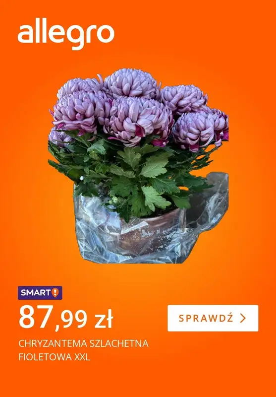 Allegro - gazetka promocyjna Zatroszcz się o groby najbliższych   - strona 3