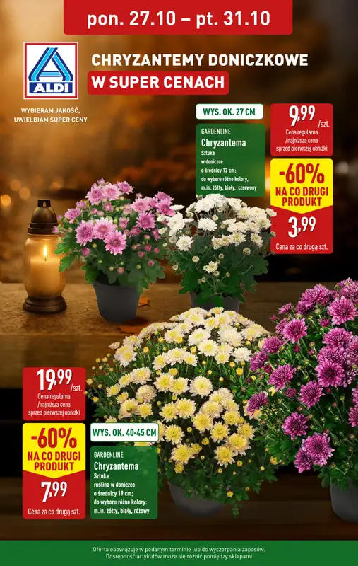 Aldi - gazetka promocyjna Chryzantemy doniczkowe w super cenach!  
