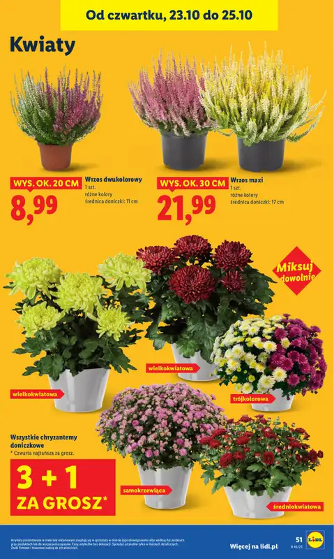 Lidl - gazetka promocyjna Oferta od czwartku od czwartku 23.10 do soboty 25.10 - strona 59