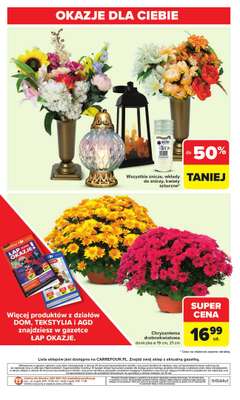 Carrefour Market - gazetka promocyjna Gazetka Carrefour Market od poniedziałku od poniedziałku 27.10 do piątku 31.10 - strona 42