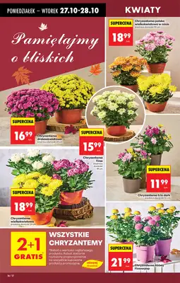 Biedronka - gazetka promocyjna Od poniedziałku od poniedziałku 27.10 do niedzieli 02.11 - strona 18 Biedronka - gazetka promocyjna Od poniedziałku od poniedziałku 27.10 do niedzieli 02.11 - strona 18