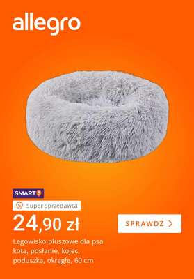 Allegro - gazetka promocyjna Pupil gotowy na chłody od wtorku 28.10 do poniedziałku 03.11 - strona 3