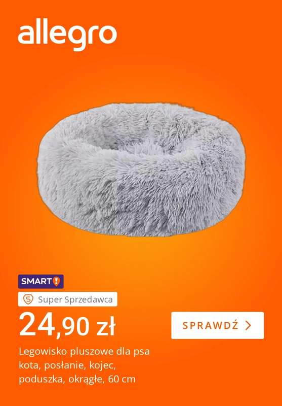 Allegro - gazetka promocyjna Pupil gotowy na chłody od wtorku 28.10 do poniedziałku 03.11 - strona 3