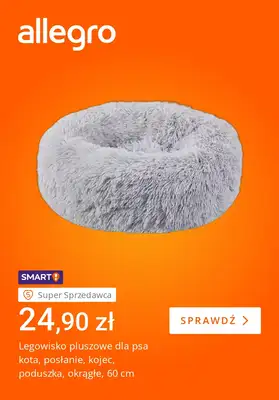 Allegro - gazetka promocyjna Pupil gotowy na chłody od wtorku 28.10 do poniedziałku 03.11 - strona 3 Allegro - gazetka promocyjna Pupil gotowy na chłody od wtorku 28.10 do poniedziałku 03.11 - strona 3