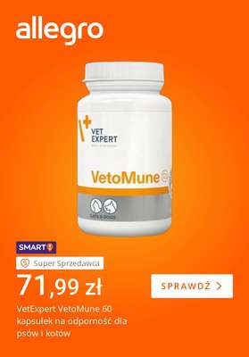 Allegro - gazetka promocyjna Pupil gotowy na chłody od wtorku 28.10 do poniedziałku 03.11 - strona 2