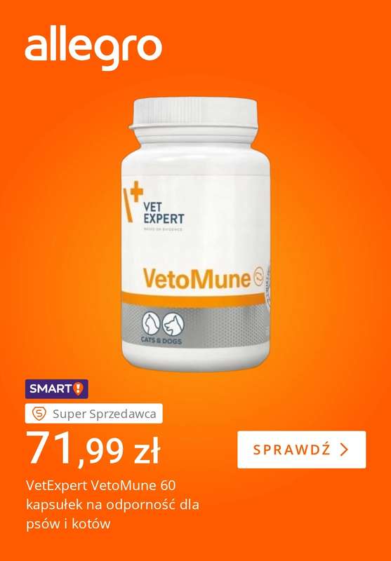 Allegro - gazetka promocyjna Pupil gotowy na chłody od wtorku 28.10 do poniedziałku 03.11 - strona 2