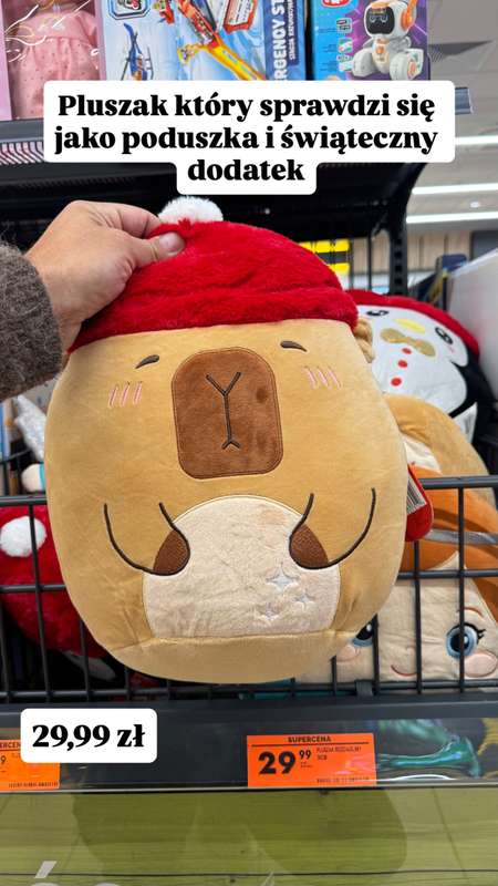 Biedronka - gazetka promocyjna Wasze Inspiracje - produkty do domu i dodatki modowe od wtorku 28.10 