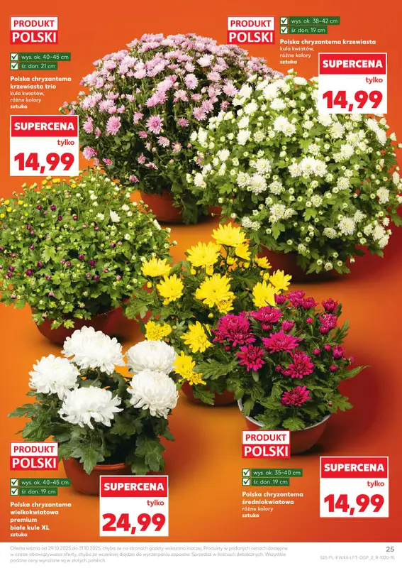 Kaufland - gazetka promocyjna Oferta Kaufland  do środy 05.11 - strona 25