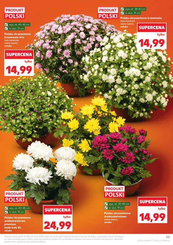Kaufland - gazetka promocyjna Oferta Kaufland od środy 29.10 do środy 05.11 - strona 25