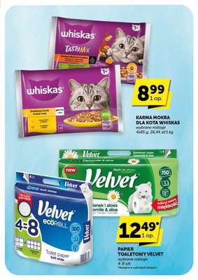 Groszek - gazetka promocyjna Gazetka Market  do wtorku 11.11 - strona 39