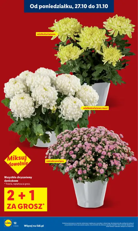 Lidl - gazetka promocyjna Oferta od poniedziałku od poniedziałku 27.10 do środy 29.10 - strona 12