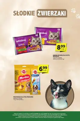 ABC - gazetka promocyjna Katalog  do wtorku 11.11 - strona 31 ABC - gazetka promocyjna Katalog  do wtorku 11.11 - strona 31