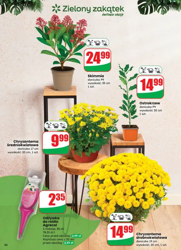 Dino - gazetka promocyjna Gazetka od środy 29.10 do wtorku 04.11 - strona 56