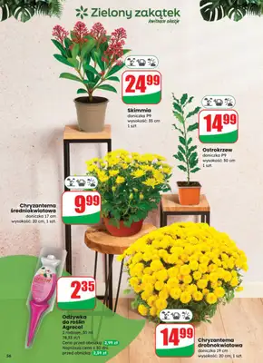 Dino - gazetka promocyjna Gazetka od środy 29.10 do wtorku 04.11 - strona 56 Dino - gazetka promocyjna Gazetka od środy 29.10 do wtorku 04.11 - strona 56