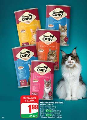 Dino - gazetka promocyjna Gazetka od środy 29.10 do wtorku 04.11 - strona 62