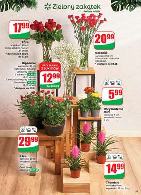 Dino - gazetka promocyjna Gazetka od środy 29.10 do wtorku 04.11 - strona 55