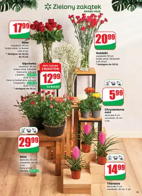 Dino - gazetka promocyjna Gazetka od środy 29.10 do wtorku 04.11 - strona 55 Dino - gazetka promocyjna Gazetka od środy 29.10 do wtorku 04.11 - strona 55