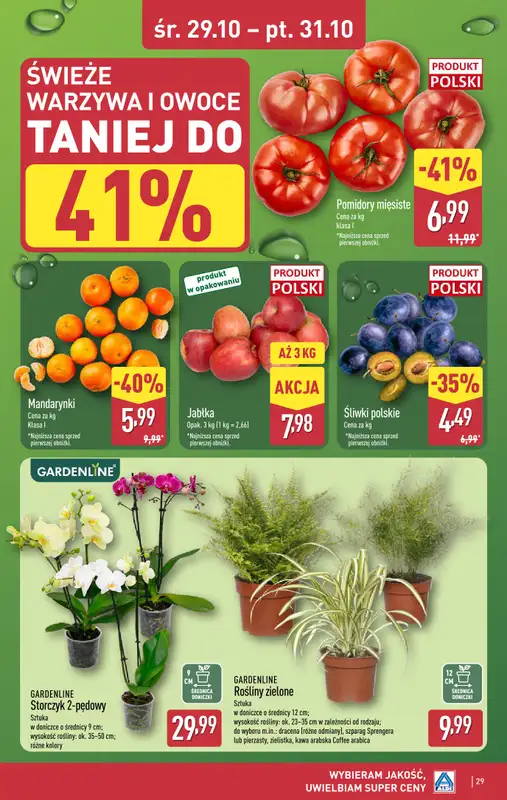 Aldi - gazetka promocyjna SYCÓW: WIELKIE OTWARCIE już w środę: 29.10! od środy 29.10 do piątku 31.10 - strona 29