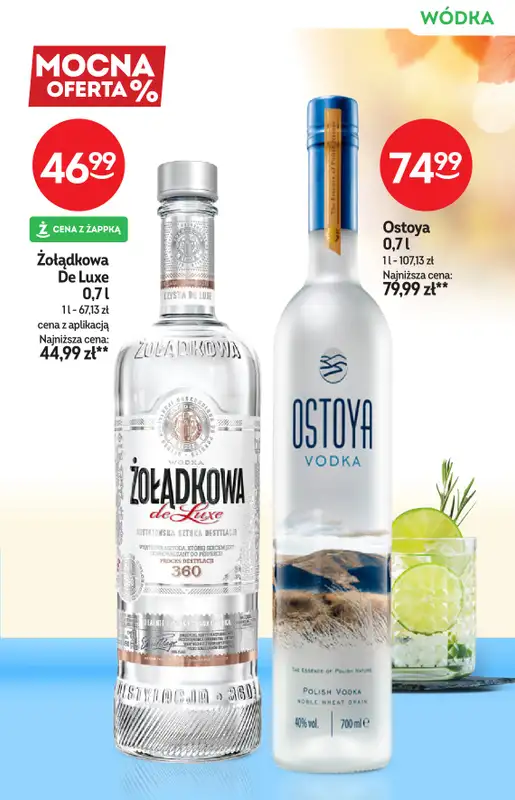 Żabka - gazetka promocyjna Katalog alkoholowy od środy 29.10 do wtorku 11.11 - strona 13
