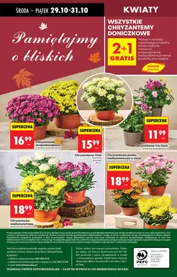 Biedronka - gazetka promocyjna Od środy od środy 29.10 do środy 05.11 - strona 81 Biedronka - gazetka promocyjna Od środy od środy 29.10 do środy 05.11 - strona 81