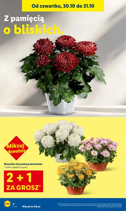 Lidl - gazetka promocyjna Oferta od czwartku od czwartku 30.10 do piątku 31.10 - strona 4