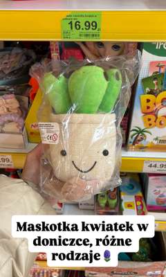 Dino - gazetka promocyjna Zakupowe Inspiracje i NOWOŚCI w Dino od środy 29.10  - strona 8