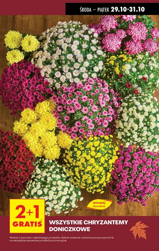 Biedronka - gazetka promocyjna Najlepsze promocje! od środy 29.10 do piątku 31.10 - strona 9