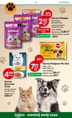 Żabka - gazetka promocyjna Gazetka od środy 22.10 do wtorku 04.11 - strona 76 Żabka - gazetka promocyjna Gazetka od środy 22.10 do wtorku 04.11 - strona 76