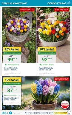 Erli - gazetka promocyjna Wielka promocja: warsztat i ogród! od czwartku 30.10 do niedzieli 02.11 - strona 5